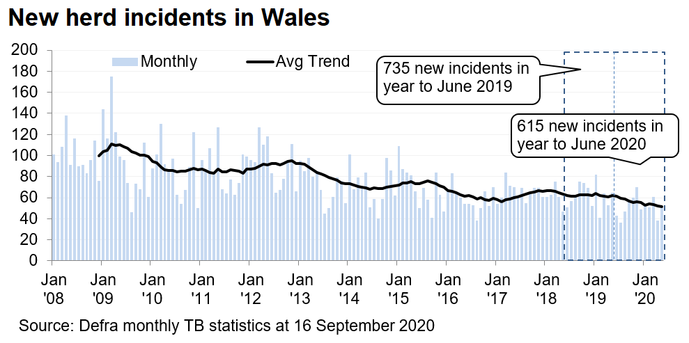Chart showing the trend in new herd incidents in Wales since 2008. There were 615 new incidents in the 12 months to June 2020, a decrease of 16% compared with the previous 12 months.