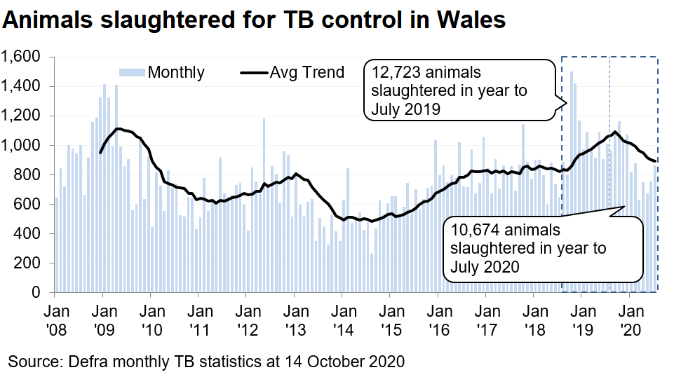 Chart showing the trend in animals slaughtered for TB control in Wales since 2008. 10,674 animals were slaughtered in the 12 months to July 2020, a decrease of 16% compared with the previous 12 months.