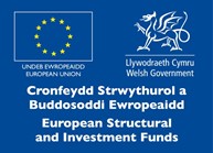 European Structural and Investment Funds logo