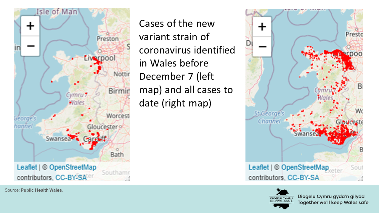 Cases of the new variant strain of coronavirus identified in Wales before December 7 (left map) and all cases to date (right map)