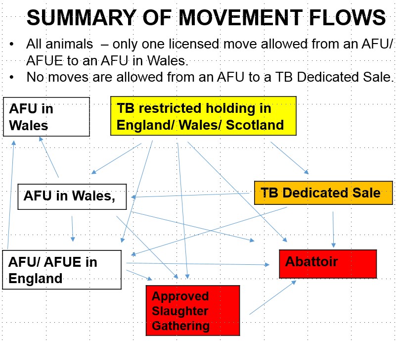 Summary movement flows