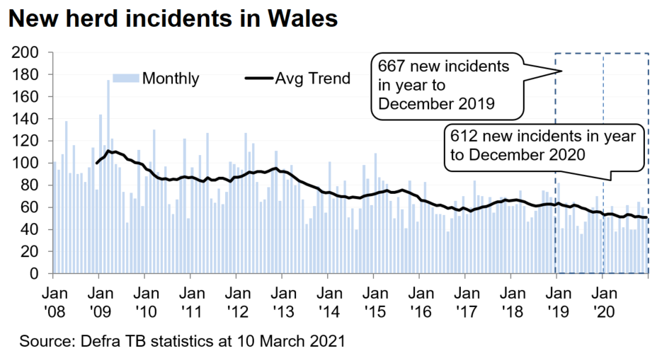 Chart showing the trend in new herd incidents in Wales since 2008. There were 612 new incidents in the 12 months to December 2020, a decrease of 8% compared with the previous 12 months.