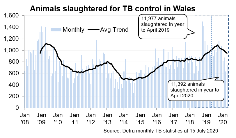 Chart showing the trend in animals slaughtered for TB control in Wales since 2008. 11,392 animals were slaughtered in the 12 months to April 2020, an decrease of 5% compared with the previous 12 months.