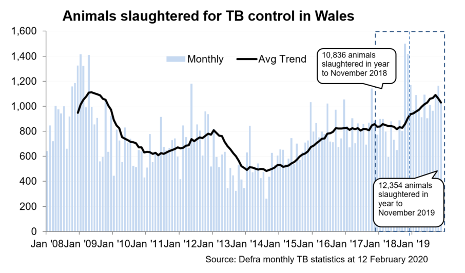 Chart showing the trend in animals slaughtered for TB control in Wales since 2008. 12,354 animals were slaughtered in the 12 months to November 2019, an increase of 14% compared with the previous 12 months.