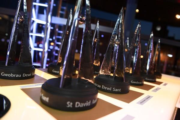 ‘Heroes’ recognised in St David Awards 2020