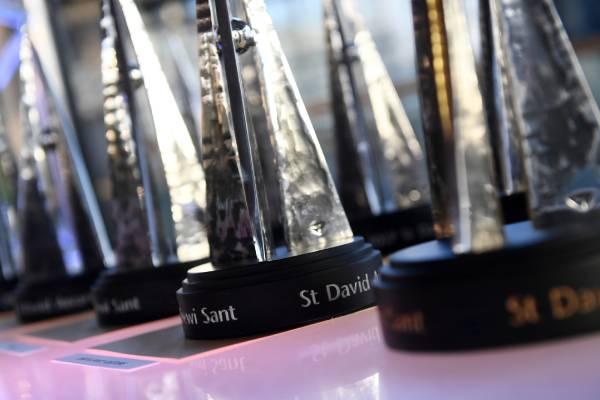 ‘True inspiration’ winners announced at St David Awards 2021