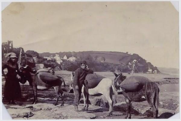 Old photograph of cockle pickers