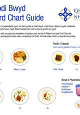 Food Record Chart